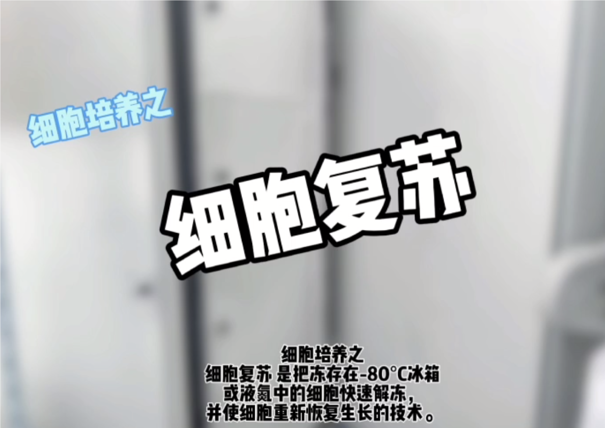 細(xì)胞培養(yǎng)——細(xì)胞復(fù)蘇注意事項(xiàng)